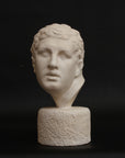 photo of white plaster cast reproduction of Ancient Greek bust of male from Borghese Warrior statue on black background