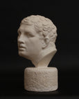 photo of white plaster cast reproduction of Ancient Greek bust of male from Borghese Warrior statue on black background