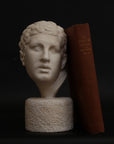 photo of white plaster cast reproduction of Ancient Greek bust of male from Borghese Warrior statue with red book leaning against it on black background