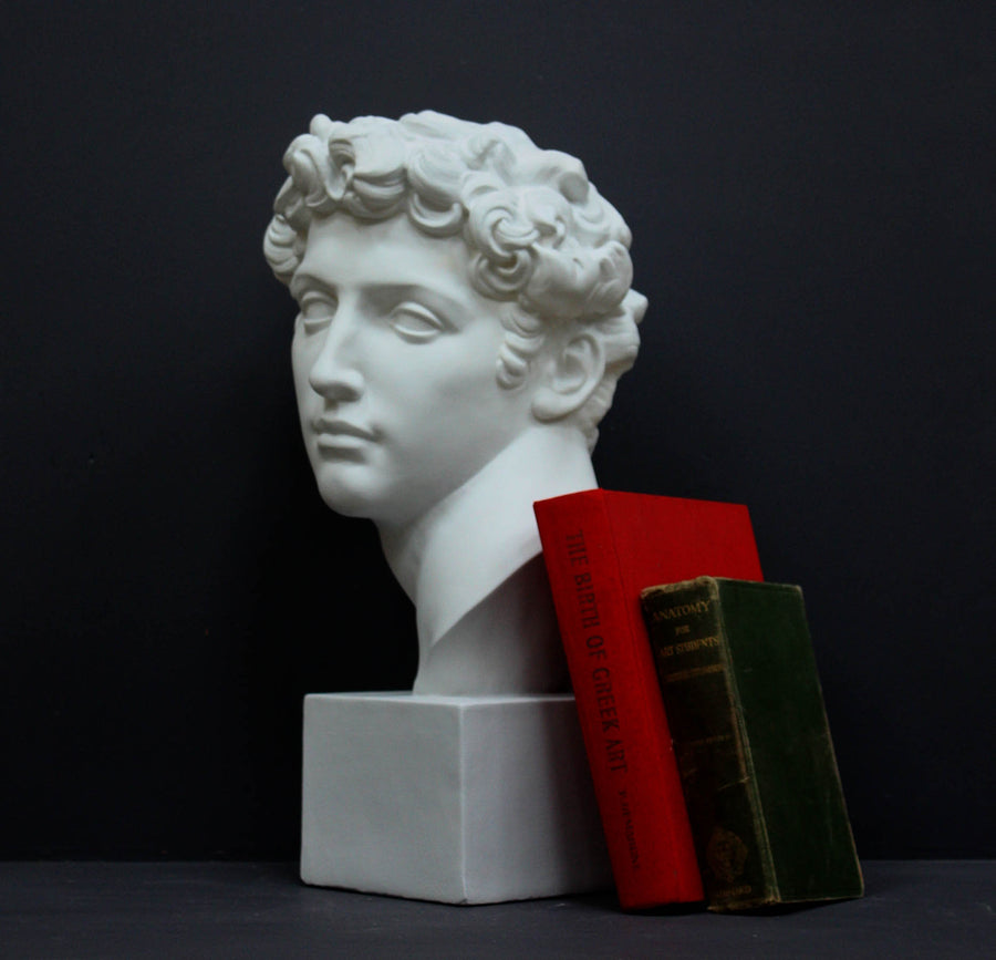 photo of white plaster cast bust sculpture of male with curly hair atop cube base with red and green books leaning against it against gray background