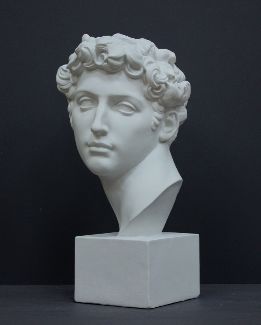 photo of white plaster cast bust sculpture of male with curly hair atop cube base against gray background