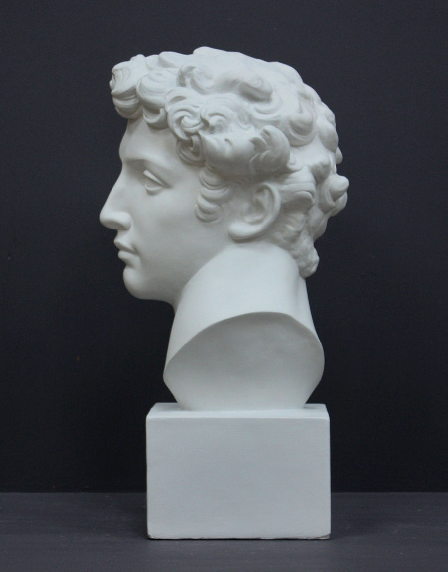photo of white plaster cast bust sculpture of male with curly hair atop cube base against gray background