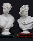 photo of two white plaster cast bust sculptures, one on right being a man, namely the god Apollo, with hair piled high in the front and a broach near his neck holding robes set atop two stacked red books, and other bust on the left being a woman, namely the goddess Diana, with drapery and crown and up-do set atop a green book, all against a dark gray background