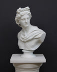 photo of white plaster cast bust sculpture of man, namely the god Apollo, with hair piled high in the front and a broach near his neck holding robes set atop a white pedestal against a gray background