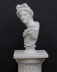 photo of white plaster cast bust sculpture of man, namely the god Apollo, with hair piled high in the front and a broach near his neck holding robes set atop a white pedestal against a gray background