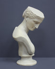 photo of off-white plaster cast sculpture bust of female without top of head and with piece of drapery on socle base on gray background