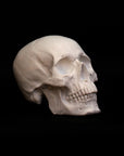 Photo of a sculpture of a skull on a black background