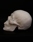 Photo of a sculpture of a skull on a black background