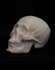 Photo of a sculpture of a skull on a black background