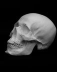 Photo of a sculpture of a skull on a black background