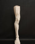 Photo of a sculpture of a leg on a black background