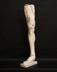 Photo of a sculpture of a leg on a black background