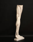 Photo of a sculpture of a leg on a black background