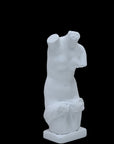 Photo of a sculpture of a ladies torso on a black background
