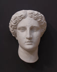 image of plaster cast sculpture mask of female, namely Athena, on a gray background