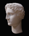 image of plaster cast sculpture mask of female, namely Athena, on a gray background