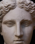 image of plaster cast sculpture mask of female, namely Athena, on a gray background