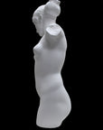 Photo of a sculpture of a female torso with a head