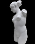 Photo of a sculpture of a female torso with a head