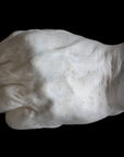 Photo of white plaster cast of a life cast of a clenched fisted hand on a black background