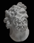 Photo of a plaster cast of the Laocoon mask on a black background
