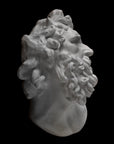 Photo of a plaster cast of the Laocoon mask on a black background
