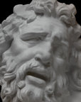 Photo of a detail of a plaster cast of the Laocoon mask on a black background
