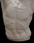 photo with black background of plaster cast of sculpted male torso and head with curly hair and beard, namely Laocoon
