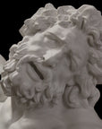 photo with black background of plaster cast of sculpted male torso and head with curly hair and beard, namely Laocoon