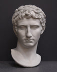 photo of plaster cast of sculpted male bust, namely Augustus Caesar, on a gray background