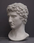 photo of plaster cast of sculpted male bust, namely Augustus Caesar, on a gray background