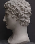 photo of plaster cast of sculpted male bust, namely Augustus Caesar, on a gray background