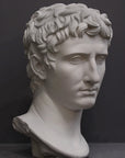 photo of plaster cast of sculpted male bust, namely Augustus Caesar, on a gray background