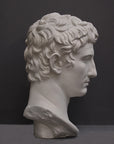 photo of plaster cast of sculpted male bust, namely Augustus Caesar, on a gray background