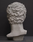 photo of plaster cast of sculpted male bust, namely Augustus Caesar, on a gray background