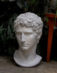 photo of plaster cast of sculpted male bust, namely Augustus Caesar, on a wooden floor with green plants behind