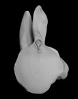 image of a plaster statue of a bust of a rabbit on a black background