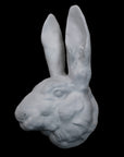image of a plaster statue of a bust of a rabbit on a black background
