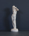 image of a plaster statue of a nude female figure, namely Phryne, on a gray background