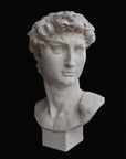 Photo of plaster cast sculpture of head from Michelangelo's David statue on a black background