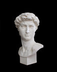 Photo of plaster cast sculpture of head from Michelangelo's David statue on a black background
