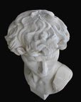Photo of plaster cast sculpture of head from Michelangelo's David statue on a black background