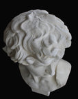 Photo of plaster cast sculpture of head from Michelangelo's David statue on a black background