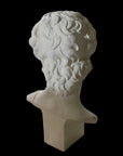 Photo of plaster cast sculpture of head from Michelangelo's David statue on a black background