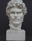 photo of white plaster cast bust of Gaul depicted with mustache and rope around neck atop white base on gray background