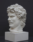 photo of white plaster cast bust of Gaul depicted with mustache and rope around neck atop white base on gray background