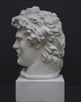 photo of white plaster cast bust of Gaul depicted with mustache and rope around neck atop white base on gray background