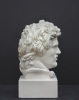 photo of white plaster cast bust of Gaul depicted with mustache and rope around neck atop white base on gray background