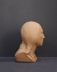 image of a terracotta-colored plaster bust of the well-known Native American Massasoit on a gray background