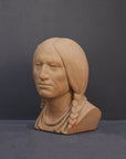 image of a terracotta-colored plaster bust of the well-known Native American Massasoit on a gray background
